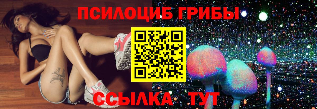 Нерюнгри  Галлюциногенные грибы GOLDEN TEACHER  Псилоцибиновые грибы GOLDEN TEACHER  Вход с VPN 